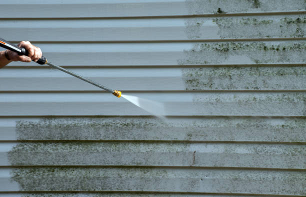 Best Window and Screen Pressure Cleaning in Smithfield, VA
